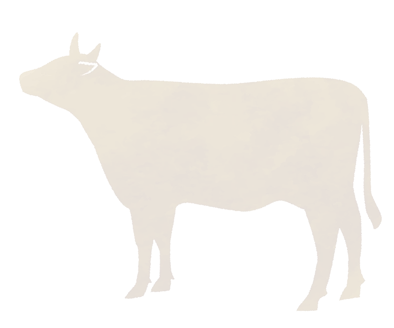 ポイント